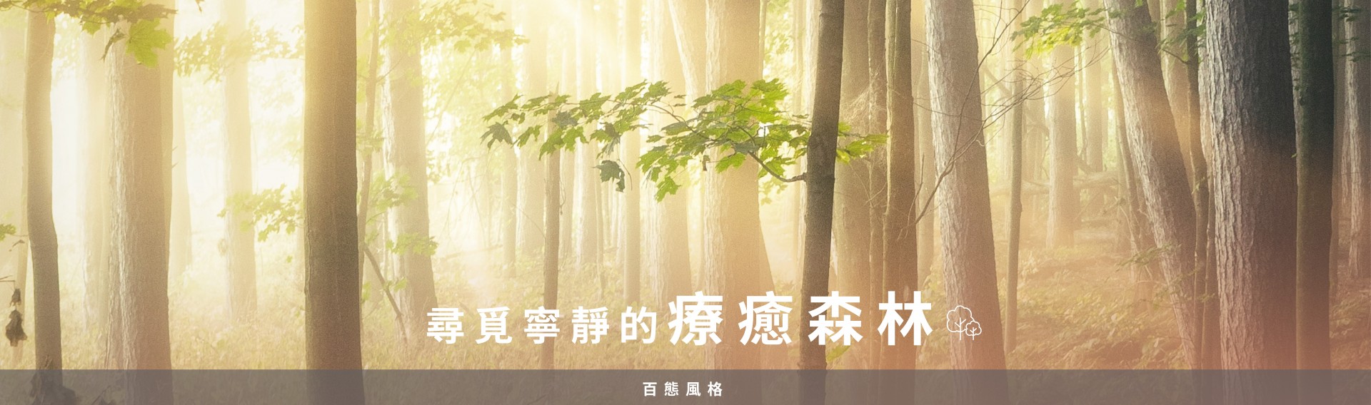 百態風格 – 尋覓寧靜的療癒森林🌲